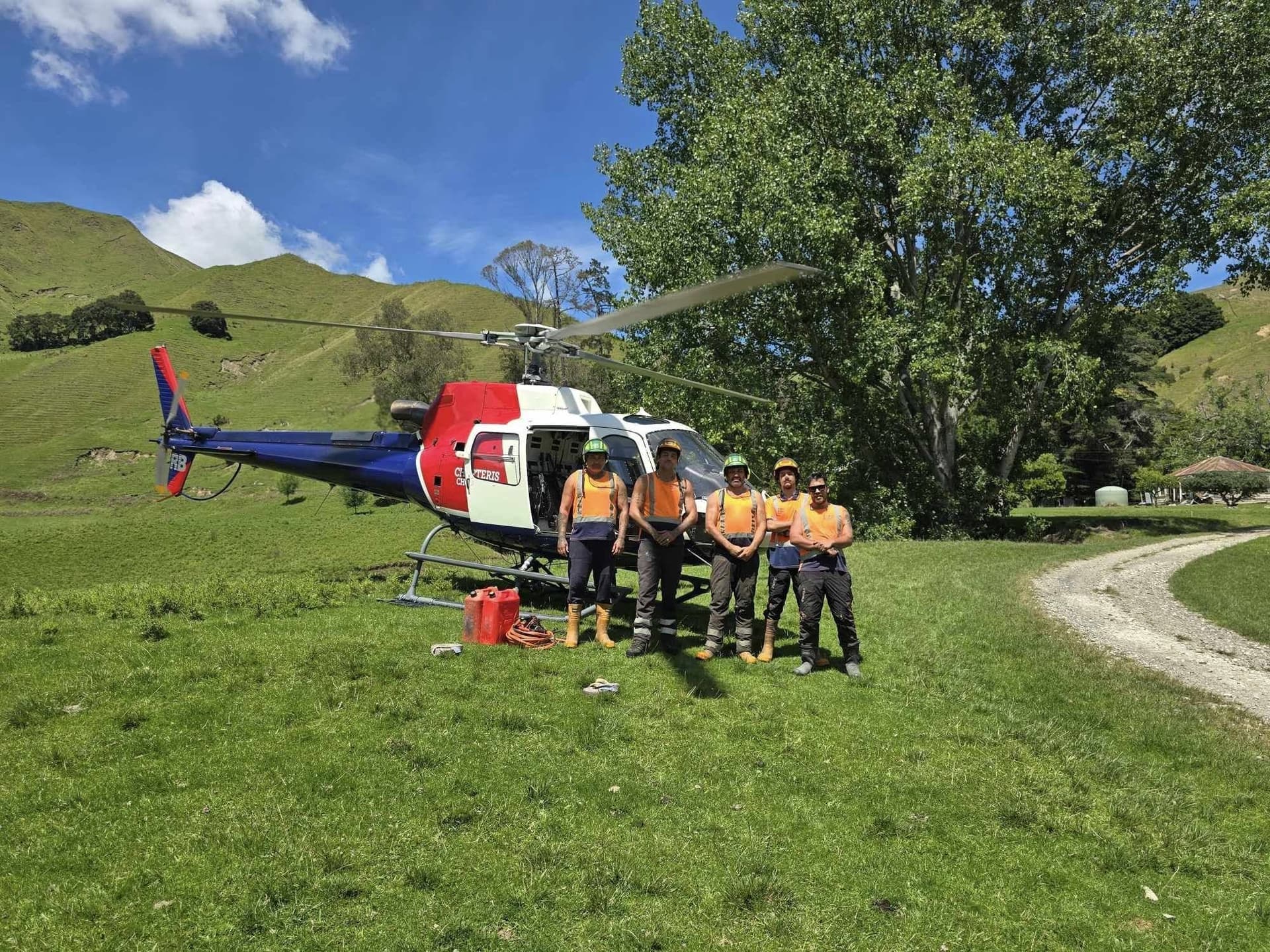 Professional tree care services in Tairāwhiti